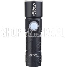 PERFEO (PF_B4103) REGS PL-304