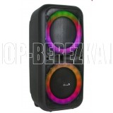 ELTRONIC (20-05) DANCE BOX 500 - колонка 12