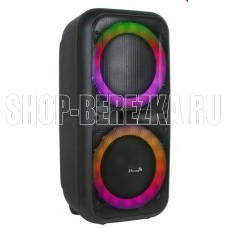 ELTRONIC (20-05) DANCE BOX 500 - колонка 12
