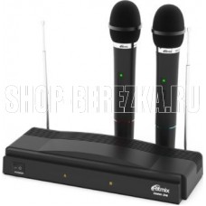 RITMIX RWM-210