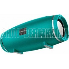 BOROFONE (6931474715623) BR3 бирюзовый