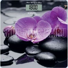 SCARLETT SC-BS33E067