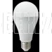 ECOLA D7RD20ELC CLASSIC LED PREMIUM 20W/A65/E27/6500K