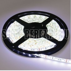 ECOLA P5LD14ESB ECOLA LED strip PRO 14.4W/m 12V IP65 10mm 60Led/m 6000K 5м