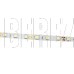 ECOLA S2LD14ESB LED strip STD 14.4W/m 12V IP20 10mm 60Led/m 6000K 5м