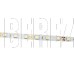 ECOLA S2LD14ESB LED strip STD 14.4W/m 12V IP20 10mm 60Led/m 6000K 5м
