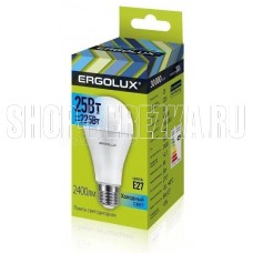 ERGOLUX (14236) LED-A65-25W-E27-4K