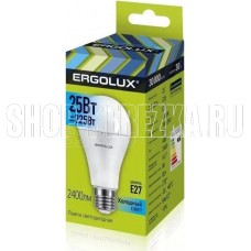 ERGOLUX (14236) LED-A65-25W-E27-4K