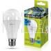 ERGOLUX (14236) LED-A65-25W-E27-4K