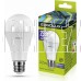 ERGOLUX (14228) LED-A65-25W-E27-6K