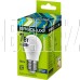 ERGOLUX (12877) LED-G45-7W-E27-6K
