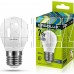 ERGOLUX (12877) LED-G45-7W-E27-6K