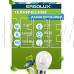 ERGOLUX (12877) LED-G45-7W-E27-6K