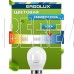 ERGOLUX (12877) LED-G45-7W-E27-6K