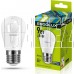 ERGOLUX (13178) LED-G45-9W-E27-6K