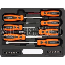 SPARTA Набор отверток, биты, двухкомпонентные рукоятки, 21 предмет 13309