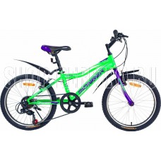 PIONEER BOOMER 20
