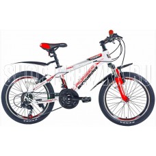 PIONEER COMBAT 20
