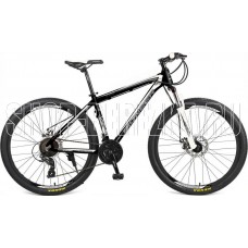PIONEER ENERGY 29