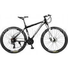 PIONEER ENERGY 29