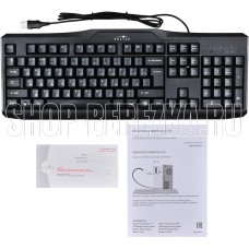 ОКЛИК 170M черный USB