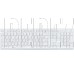 ОКЛИК 500M белый USB slim Multimedia