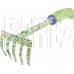 PALISAD Грабли 5-зубые, 85х310 мм, стальные, пластиковая рукоятка, FLOWER GREEN 62039
