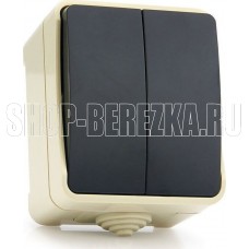 SMARTBUY (SBE-04w-10-SW2-0) Сатурн выключатель 2-клавишный