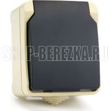 SMARTBUY (SBE-04w-16-S1-Z) Сатурн розетка 1-местная