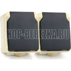 SMARTBUY (SBE-04w-16-S2-Z) Сатурн розетка 2-местная