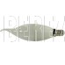 SMARTBUY (SBL-C37Can-12-60K-E14) 12W/6000/E14