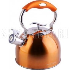 MAYER&BOCH 30961 2,5 л