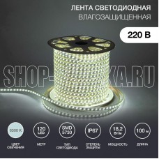 NEON-NIGHT (142-703) LED лента 220 В, 6.5x17 мм, IP67, SMD 5730, 120 LED/m, цвет свечения белый, 100 м
