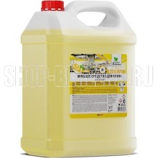 CLEAN&GREEN CG8068 для кухни Shine (антижир) 5,5 кг.