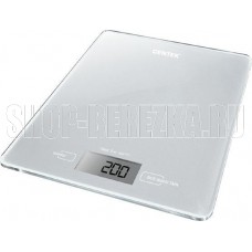 CENTEK CT-2462 silver