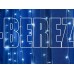WINTER GLADE Электрическая гирлянда-занавес Winter Glade 96 ламп Холодный белый CC96