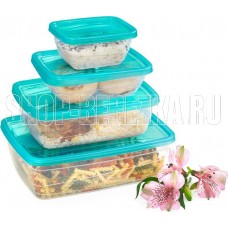 VIOLET Набор контейнеров FRESCO 4 шт. 500 мл (Бриз) 470050135
