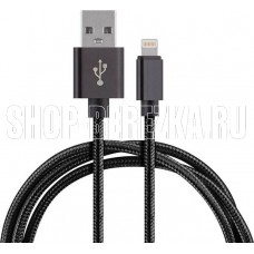 ENERGY ET-25 USB/Lightning, цвет - черный 104101