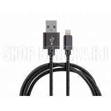 ENERGY ET-25 USB/Lightning, цвет - черный 104101