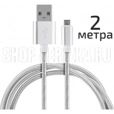 ENERGY ET-29-2 USB/MicroUSB, цвет - серебро 104111