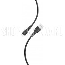 SMARTBUY (iK-3112-S40b) S40 Type C черный. 1 м