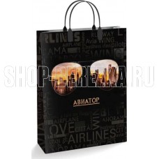 АРТПЛАСТ (ПОД55219) 30х40+10 (Авиатор) Россия