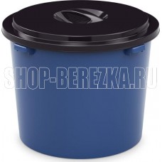 АЛЬТЕРНАТИВА М7572 Эконом 550л (с крышкой)(микс)