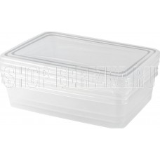 PLAST TEAM PT204312999 Frozen прямоуг. нат. 0,9л (3 предмета)