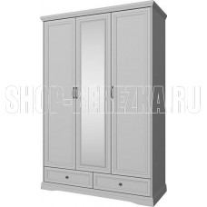 АНРЭКС VALENCIA Шкаф 3DG2S Z. Цвет СЕРЫЙ (6 уп.)