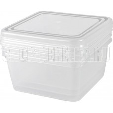 PLAST TEAM PT203912999 Frozen квадр. нат. 0,45л (3 предмета)