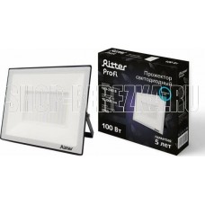 RITTER 53410 9 PROFI 100 Вт/6500К