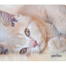 PERFEO (PF_D0641) 