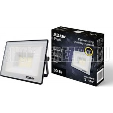 RITTER 53427 7 PROFI 30 Вт 2700К