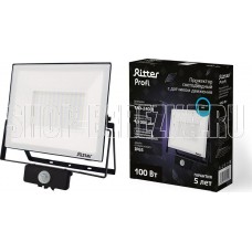 RITTER 53424 6 PROFI 100 Вт 6500К с датчиком движения черный